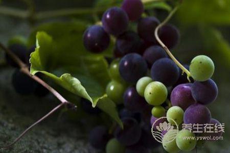 夏季孕婦吃什么水果好呢? 夏季孕婦吃什么水果好呢?