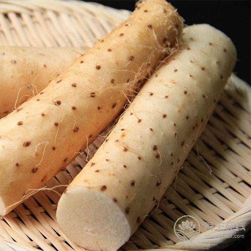 冬季宜養腎,常吃4種食物讓腎臟恢復活力 冬季宜養腎,常吃4種食物讓腎臟恢復活力