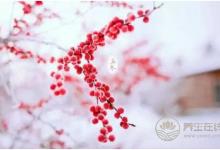 立冬時節有哪些養生小常識?