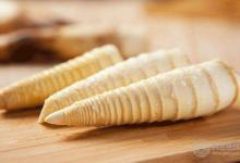 冬筍和春筍的區別?