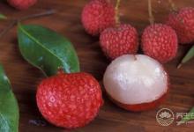 夏季排毒偏方,讓你輕松自如