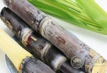 春季預防慢性咽炎方法有哪些?