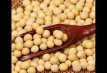 霜降后，養(yǎng)生吃這5種食物最合適