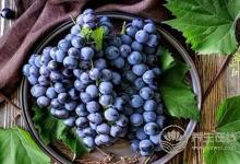 孩子秋季潤肺吃什么好?