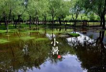 2018小暑時(shí)間_小暑是什么時(shí)候_吃什么養(yǎng)生_小暑習(xí)俗