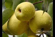 小雪節(jié)氣如何預(yù)防上火呢