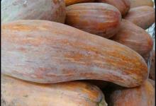 三月養護胃部健康，可常吃3種蔬菜