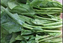 春季多吃這4種蔬菜,能補(bǔ)氣血,面色紅潤(rùn)