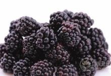 芒種養生吃什么好 三款食譜開胃降暑