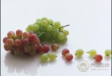 秋天吃葡萄不吐葡萄皮，護心養(yǎng)血管