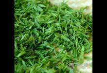 清明茶什么時候采?喝清明茶有哪些好處