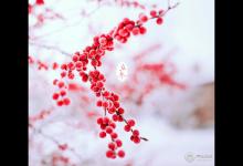 立冬和冬至的習俗有啥區別