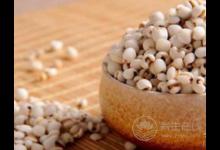 秋季吃什么粗糧可以減肥?