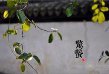 2018年驚蟄時間，驚蟄天氣如何，驚蟄有哪些習(xí)俗，驚蟄如何養(yǎng)生