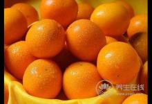 夏天多雨,濕氣加重怎么辦?試試兩款藥膳