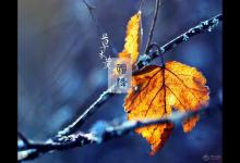 霜降時節養生注意保護身體這幾個部位