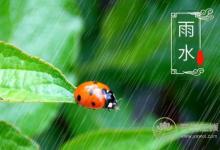 2019年雨水巧遇元宵節(jié),二十四節(jié)氣之雨水養(yǎng)生篇