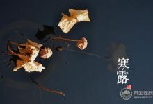 2018寒露時(shí)間_寒露是什么時(shí)候_吃什么養(yǎng)生_寒露習(xí)俗