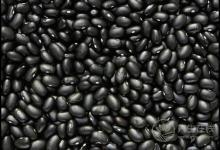 秋季掉發多，常吃這些食物，對你的頭發有幫助