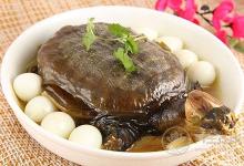 清燉甲魚湯的做法  讓身體溫暖整個冬天