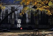 2018霜降時間_霜降是什么時候_吃什么養生_霜降習俗