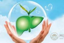 春夏養好肝，健康一整年！護肝食譜趕緊收藏~