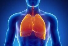 夏天是“養肺黃金期”,做到這4招,一年不得肺病!