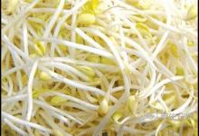 春天多吃這4種蔬菜,好吃更健康