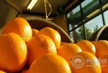 大雪節氣吃什么食物好