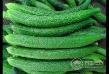 夏季消暑可多喝養(yǎng)生粥