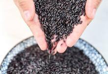 冬季感冒吃哪些果蔬好呢?