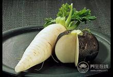 秋季吃白蘿卜好，能治咽喉炎治頭痛治凍瘡