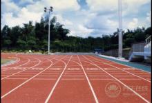 夏季養生，遵循這幾條法則，你的身體更健康