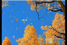 2017秋分節氣養生 節氣養生之秋分注意什么