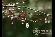 雨水養生：嗑多瓜子、春燥，上火怎么辦