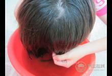 秋季愛脫發？用桑葉水洗頭可防治脫發
