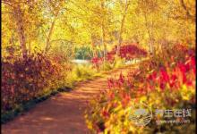 秋季出行的注意事項您了解多少