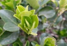 春夏交替,養生需要注意什么?