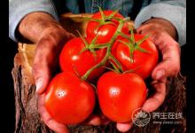 男人夏季想要補陽氣?5種食物一定得吃