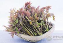 春季養生哪家強，蔬菜水果來幫忙