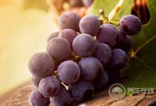 10種水果最減肥,夏天多吃會(huì)瘦