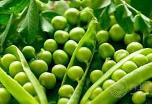 “仲夏，養生良機”之肉補篇