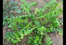 春季養(yǎng)生小常識(shí) 懶人養(yǎng)生必學(xué)七大招