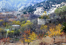 大暑農(nóng)事  你需要注意的那些事項