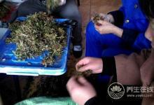 立夏至，養生“增減”需適宜