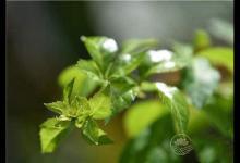 春季養生需謹慎！這5個誤區一定要了解