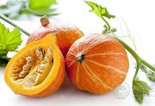 夏季腸胃疾病高發 推薦七款食譜調理腸胃