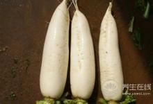 冬季咳嗽吃什么蔬菜水果好?