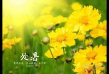 處暑養生吃什么 四款美食養胃又潤燥