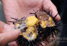 給你1份詳細(xì)的“海鮮年歷”，讓你吃到最時(shí)令的海鮮